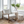Load image into Gallery viewer, Cypress