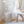 Load image into Gallery viewer, Cypress
